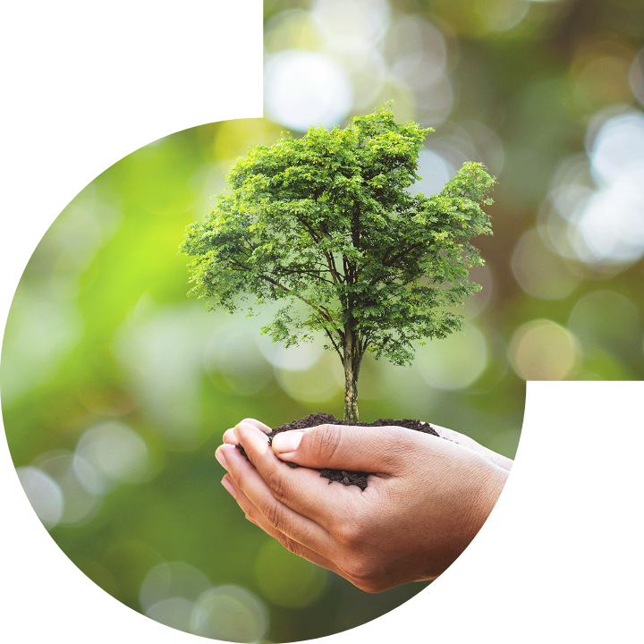 关怀人类、文化、环境与社会