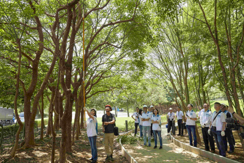 藝師教導大家認識樹木、檢查樹的健康狀況，學習修枝及碎枝覆土