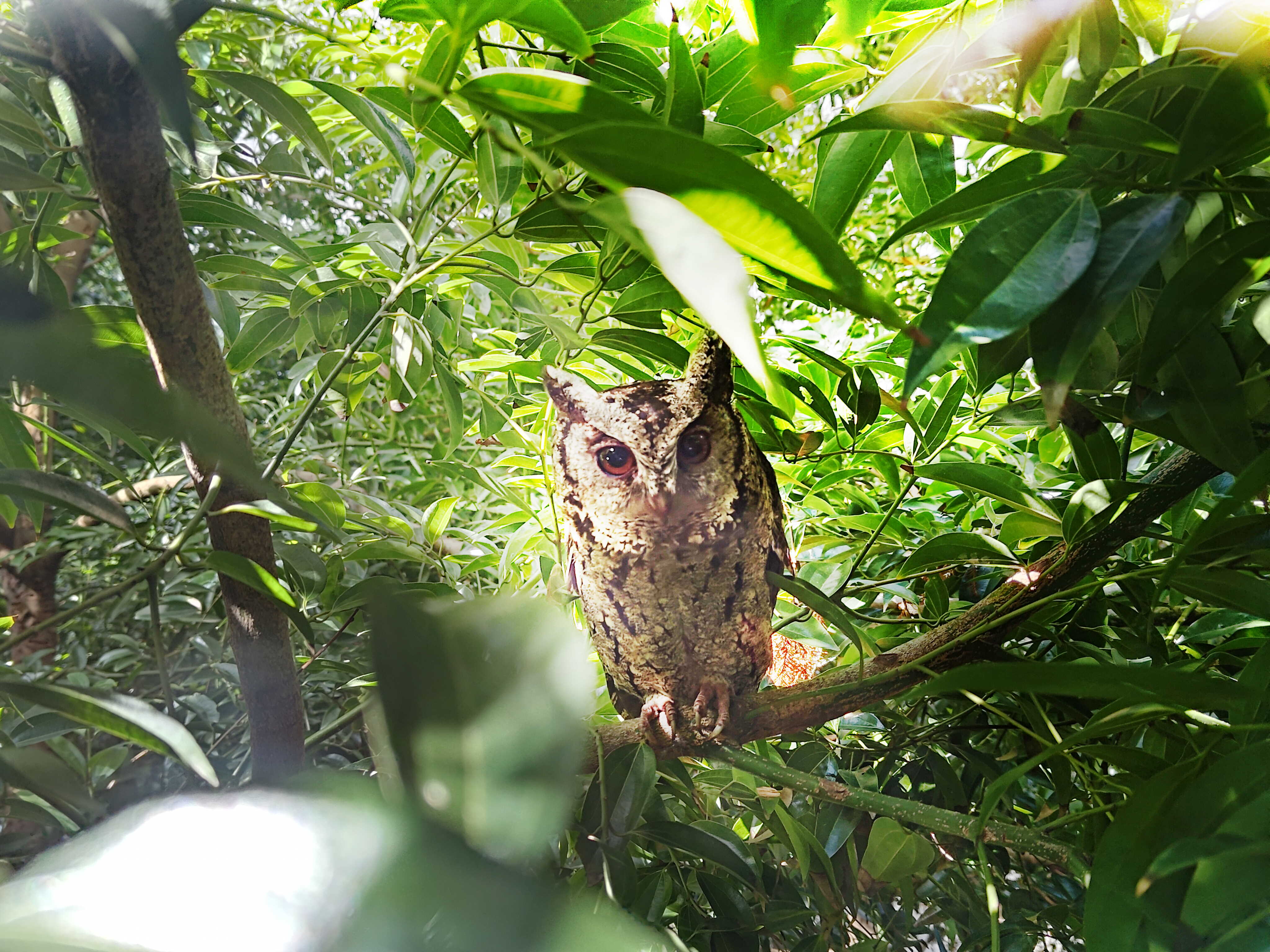 YY易游m6米乐致力提倡净零绿生活，16年以来在全球各厂区植树逾百万棵，造就各厂区树木蔚然成林，犹如森林工厂，成为许多生物的栖息地